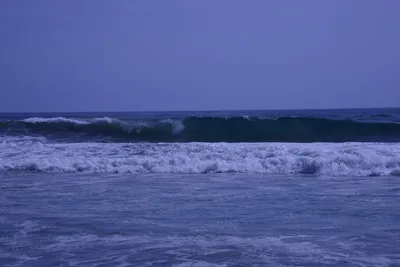 DSC_2171 (Large).JPG